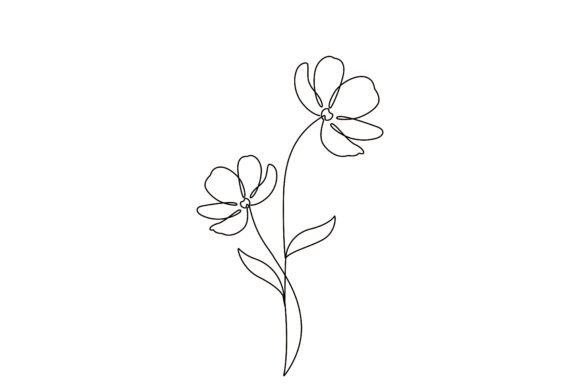 Blooming Cosmos Flowers Botanical Graphics & Illustrations