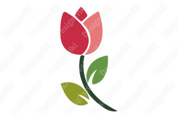Colorful Flowers Vectors: Graphics and Illustrations