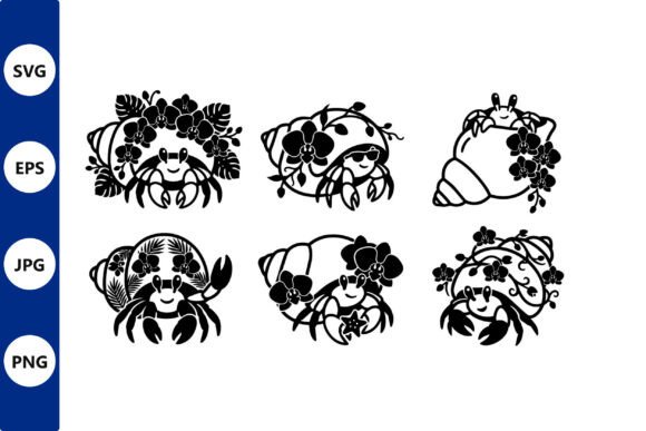 Crabs & Hibiscus Vector Graphics for Brand Illustrations