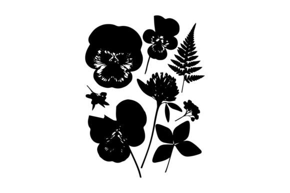 Flower Silhouette Graphics and Illustrations Review