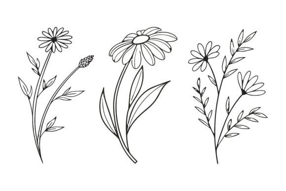 Review: Birth Month Flowers Line Art Set SVG .v2