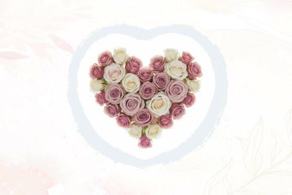 Soft Pink & White Roses: Graphics and Illustrations