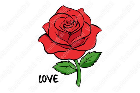 Valentine Roses Vectors: Premium Graphics & Illustrations