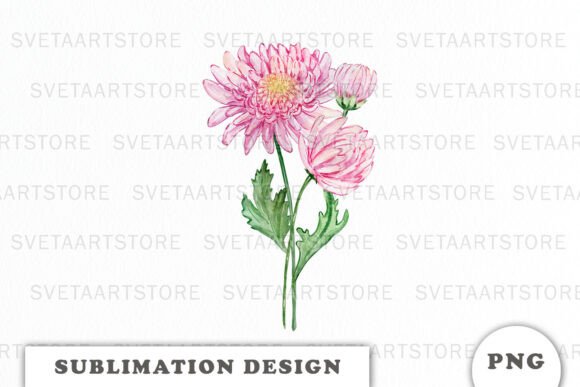 Watercolor Chrysanthemum Bouquet: Graphics & Illustrations