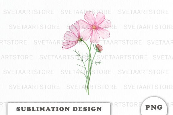 Watercolor Cosmos Graphics & Illustrations Review